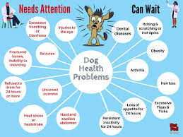 We did not find results for: Blog Pet Fed