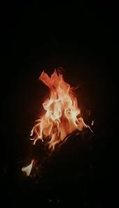 Check spelling or type a new query. 400 Best Campfire Videos 100 Free Download Pexels Stock Videos
