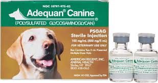 About the deltoid injection site. Adequan Canine American Regent Safe Pharmacy Arthritis Pain Inflammation Dog Rx Pet