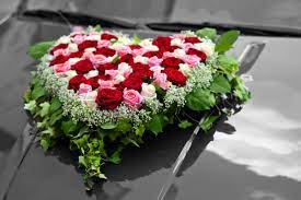 We did not find results for: Autoschmuck Zur Hochzeit 55 Schone Tipps Ideen Beispiele