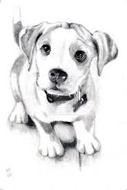 55 Ideas For Tattoo Dog Realistic Tat Dog Sketch Puppy Sketch Dog Drawing