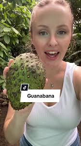 Guanabana Dominicana
