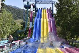Tanaman lidi air (typha angustifolia). Escape Theme Park Penang Tarikan Gelongsor Air Terpanjang Di Dunia Lokasi Percutian