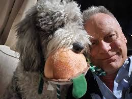 Denise Bachmeier's Instagram, Twitter & Facebook