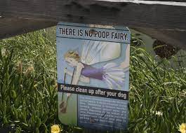 My advise is a dog mat and the smell of it makes it move to the mat for a poop. Tips To Discourage Dogs From Pooping Peeing On Your Lawn