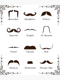 Mustache Style Identification Chart Photographic Print