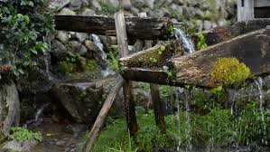 Japanese shishi odoshi, or more commonly known as a deer scarer. Shishi Odoshi Japanese Zen Garden In Stock Footage Video 100 Royalty Free 11354672 Shutterstock
