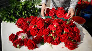 Sending flowers for valentine's day is no longer reserved just for couples aligned in romantic bliss. Valentine S Day By The Numbers See How Much Money Is Spent On Flowers Candy And Cards Abc News