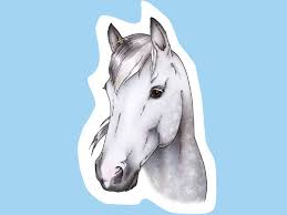 More images for how to draw a horse head for beginners » How To Draw A Horse S Head Drawing Horses Ponies Pony Magazine