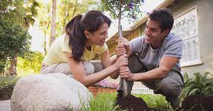 Half the price upon an agreement to sell and the other half before the first tree is harvested. Where To Find Free Trees Near Me This Arbor Day
