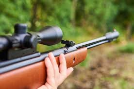 The 13 Best Air Rifles Reviewed Revealed Hands On 2019 Airgun Guide