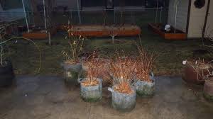 I had waited for the medium to be pretty dry so it would be easy to move, and media poured out all over the place. Make Your Own Root Pruning Container General Fruit Growing Growing Fruit