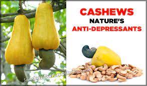 Cashews Nature S Anti Depressants
