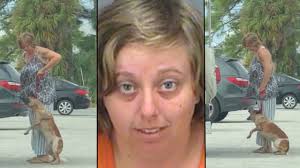 VIDEO: Florida woman arrested for kicking, pulling dog off the ground by  leash
