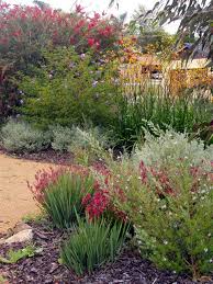 Cottage Gardening Archives Page 8 Of 10 My Garden Your Garden Australian Garden Design Native Garden Australian Native Garden