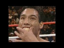 Brian Viloria Top10 KNOCKOUTS/The Hawaiian Punch best 10 knockouts