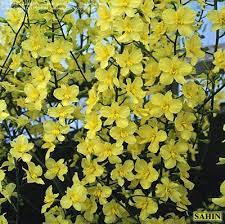 Pin On What I Planted Today