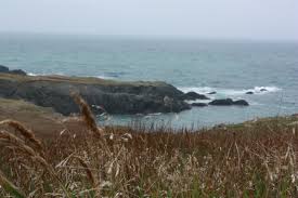 Weather, when to go, best time to go, best season, temperatures, rainy season, hurricanes, snow, frost, ice, cyclones. Wetter In Saint Pierre Und Miquelon Im Oktober 2021 Klima Und Temperatur Im Oktober