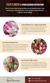 Tulip Flower Uses