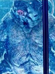 So a giant tardigrade being used for intergalactic space travel in a game and a tv show, both being developed at about the same time is just a coincidence. Tardigrade Memory Alpha Das Star Trek Wiki Fandom