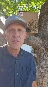 Cardboard box #BeeRescue #skykittens #StayFeral #GoFeral #BeeFeral  #SanJoaquinValley #centralvalley #honeybees #fresnocounty #fresno