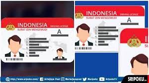 Sambodo menuturkan peluncuran aplikasi pembuatan dan perpanjangan sim online tersebut akan dilakukan siang hari sekitar pukul 13.00 wib. Yfx3yigssax Nm