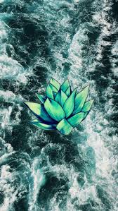 More images for wallpaper green tumblr » Tumblr Green Wallpapers Top Free Tumblr Green Backgrounds Wallpaperaccess