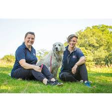 I trust amy and her team implicitly. We Love Pets High Wycombe High Wycombe Dog Walking Yell
