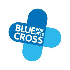 It opened in 1906 and has never closed its doors to needy animals since. Blue Cross The Blue Cross Twitter