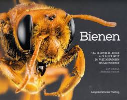 Weitere ideen zu bienen, bücherei, bienen basteln. Weltbienentag Die Besten Bucher Rund Um Bienen Stern De