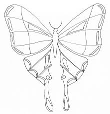 » obtenez des numéros virtuels de afrique du sud pour recevoir des appels. 119 Dessins De Coloriage Papillon A Imprimer
