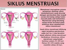 Selain itu hari kiamat juga sudah diberitahukan oleh rasulullah saw akan terjadinya kelak. Tanda Tanda Menstruasi Imarisma1505