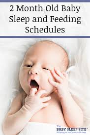 2 Month Old Baby Sleep And Feeding Schedules Eppcel
