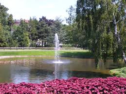 Schweizer garten, postfach 277, 3084 wabern oder info@schweizergarten.ch. Wien Schweizergarten