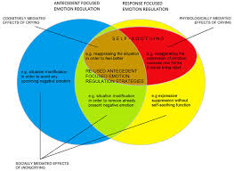 Behavior modification is an approach to assessment, evaluation, and behavior change that focuses on the Frontiers Is Crying A Self Soothing Behavior Psychology