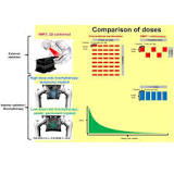 Image result for why is radiation effective in the treatment of cancer