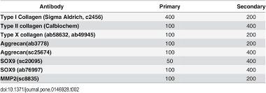 The Antibody Dilution Ratio For If Download Table