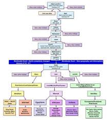 Chart Of Noahs Lineage Chart Of The Genology From Adam To