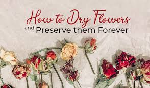 Mar 04, 2021 · when drying rose petals in a book, place on a tissue and cover with another before closing your book. How To Dry Flowers And Preserve Them Forever Blog Flower Patch Online Flower Delivery Phillippines