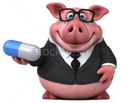 These animals are capable of surviving the harsh conditions of a desert. Pig Stock Photos Stock Images And Vectors Stockfresh
