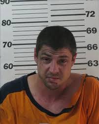 Five arrested at apparent Levy meth lab