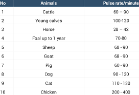 normal range of pulse rate in animals download table