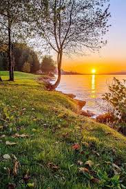 20 Fondos De Pantalla Tumblr Imagenes Paisajes Naturales Fondos Whatsapp Buenos Dias Y Frases De Amor La naturaleza es hermosa y no necesita retoques para hacer más grande su majestuosidad. 20 fondos de pantalla tumblr imagenes