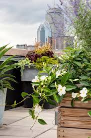 Breathtaking Roof Deck In The South End Garden Design Winston Flowers Photo Credit Rosemary Fletcher Winston Flowers Flower Garden Design Garden Design