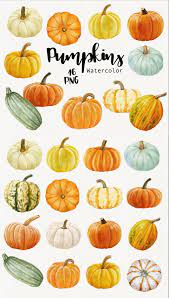Pumpkin Clipart Watercolor Fall Autumn Clipart Orange And Etsy In 2021 Pumpkin Clipart Pumpkin Art Pumpkin Illustration