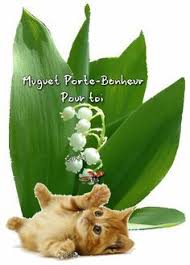 Epingle Sur Lily Of The Valley