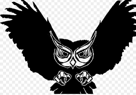  Gambar Gambar Burung Burung Hantu