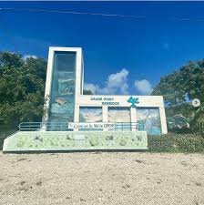 Image result for Faroa pusilla