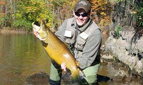 Also, one of the things these enthusiasts study is the type of bait they would attract them the most. 27 Best Trout Fishing Lures 2021 Written By Captain Cody