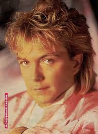 David Cassidy In Print